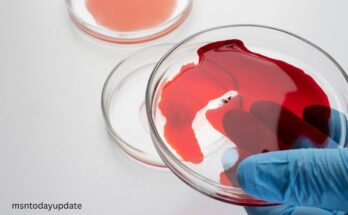 why-period-blood-brown