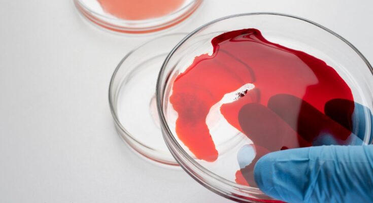 why-period-blood-brown